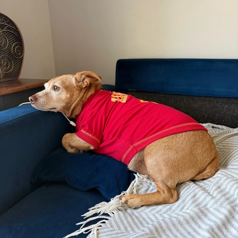NFL MEDIUM Red KC Kansas City Chiefs Dog Shirt
